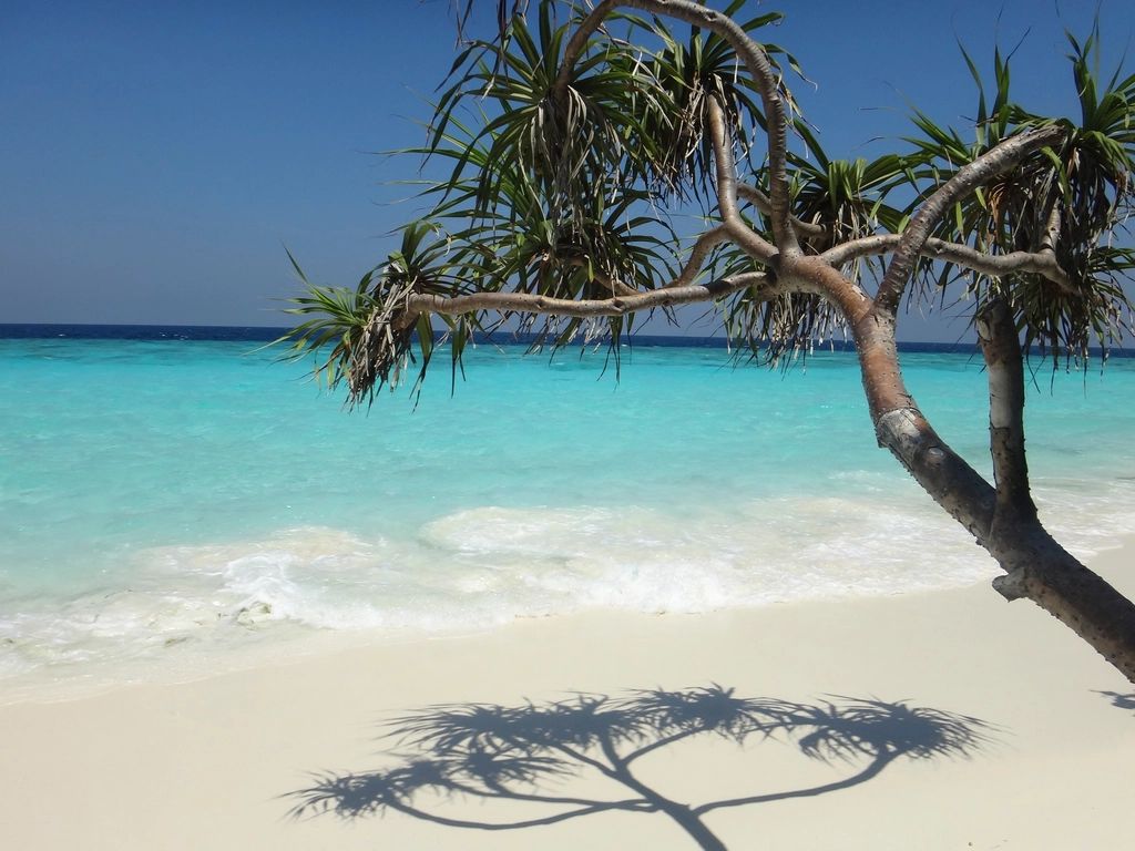 The beach and the water beyond it